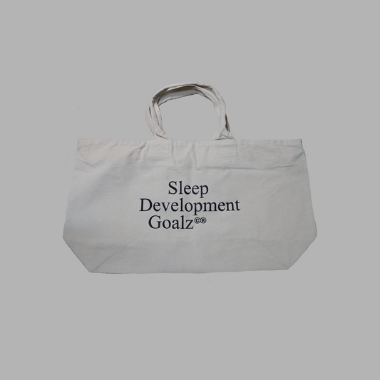 sdgz souvenir Bostonbag